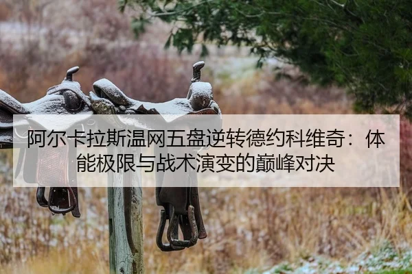 a-er-ka-la-si-wen-wang-wu-pan-ni-zhuan-de-yue-ke-wei-qi-ti-neng-ji-xian-yu-zhan-shu-yan-bian-de-dian-feng-dui-jue-2-305.jpg