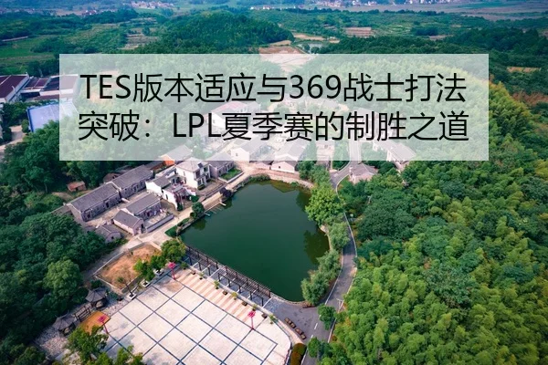 TES版本适应与369战士打法突破：LPL夏季赛的制胜之道