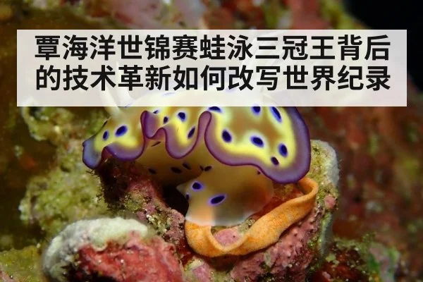 覃海洋世锦赛蛙泳三冠王背后的技术革新如何改写世界纪录