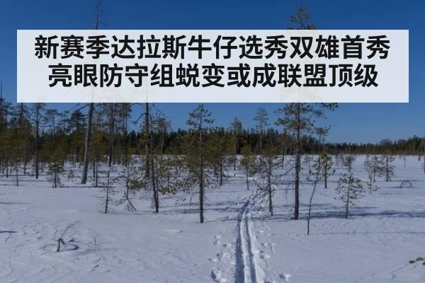 新赛季达拉斯牛仔选秀双雄首秀亮眼防守组蜕变或成联盟顶级