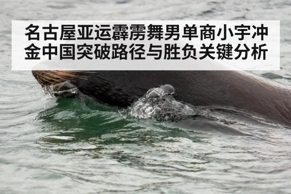 名古屋亚运霹雳舞男单商小宇冲金中国突破路径与胜负关键分析