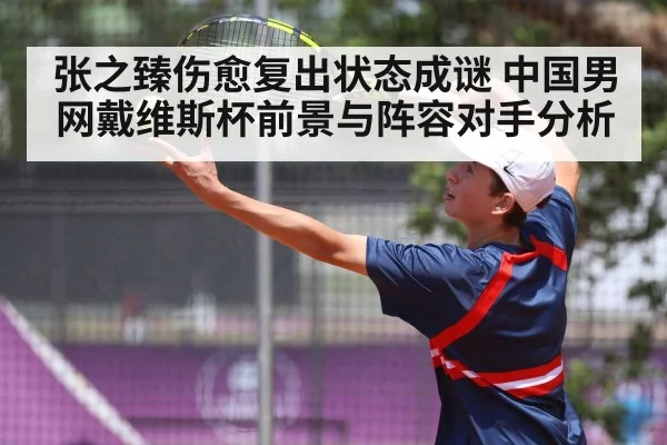 张之臻伤愈复出状态成谜 中国男网戴维斯杯前景与阵容对手分析