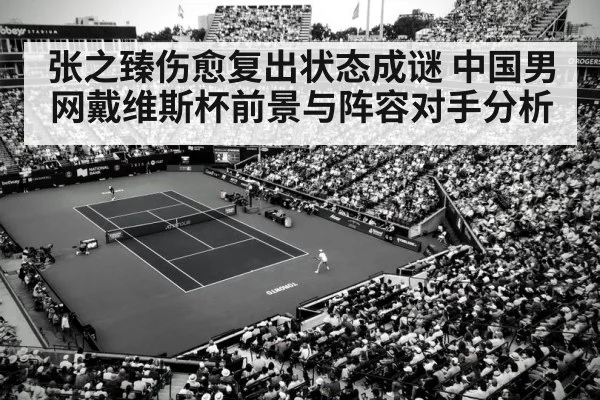davis cup tennis stadium crowd